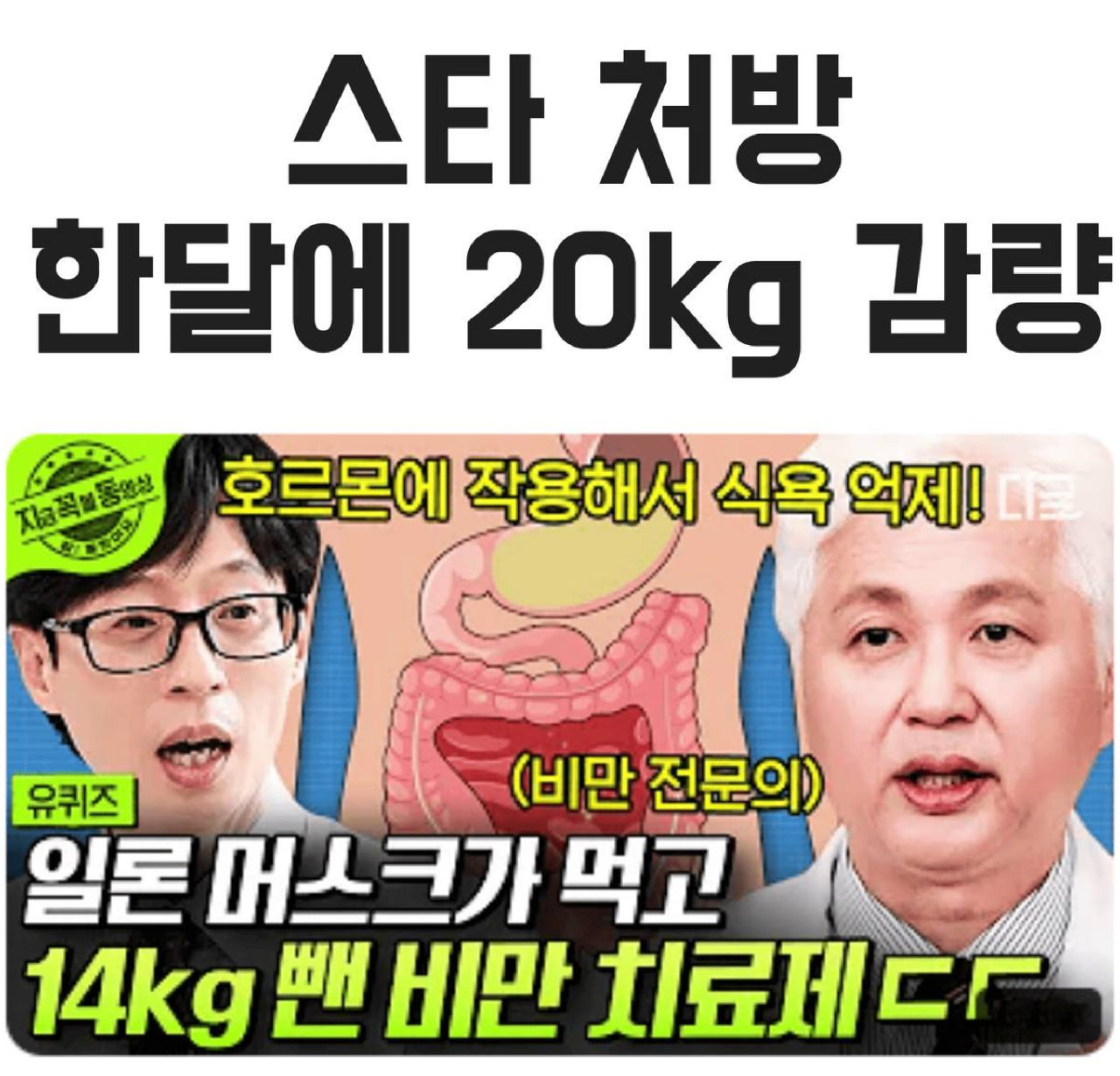 건강한 체중 관리 지원 제품
